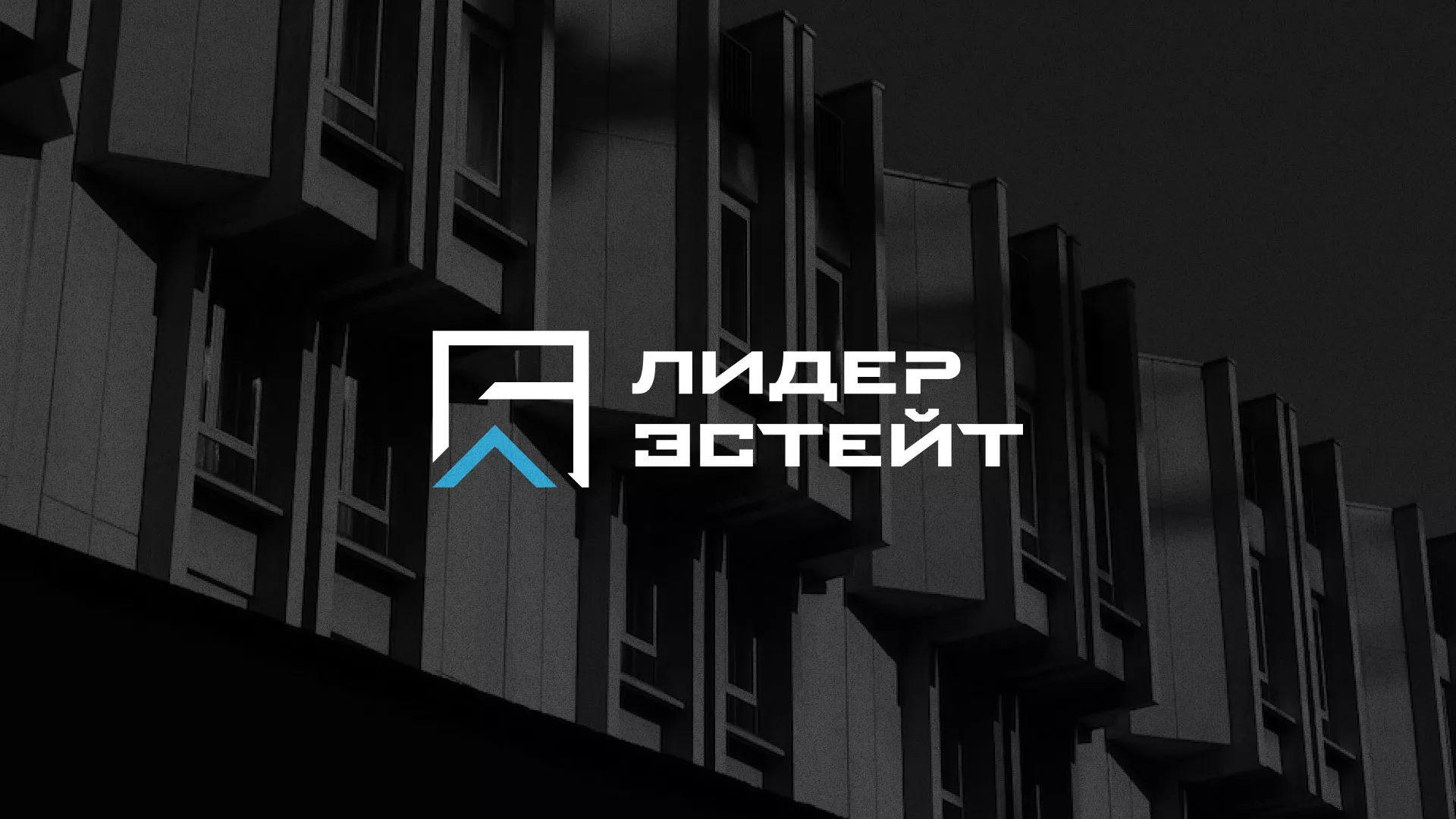 Разработка логотипа агентства недвижимости «Лидер Эстейт» в Майском